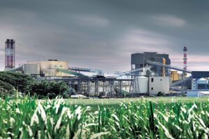 Food industry: voestalpine takes care of nutrition