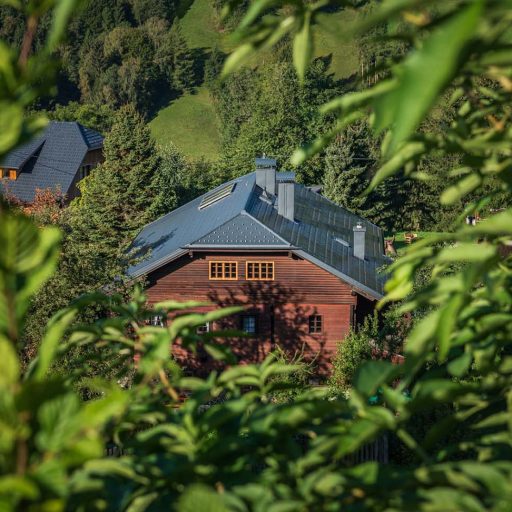 Figo roof on a wooden house in the countryside